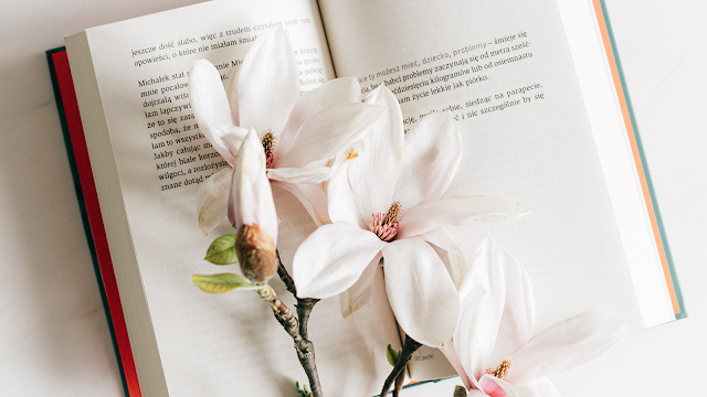Os Livros Que Todos Devemos Ler Uma Vez na Vida
