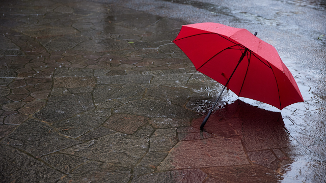 Dia do Guarda-Chuva: história, curiosidades e inspiração