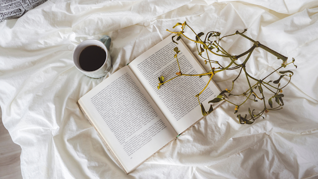 Desafio: 7 Dias, 7 Livros — Será Que Conseguem?