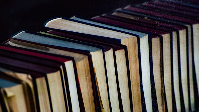 O dia em que os livros começaram em Portugal