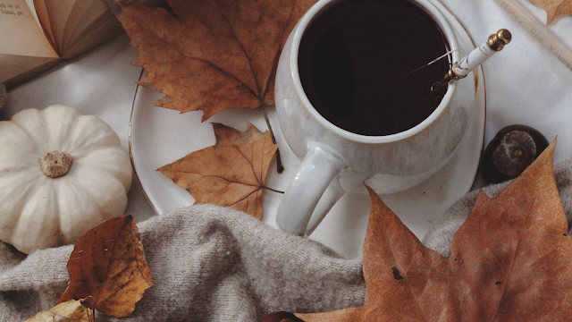 Favoritos de Novembro: Inspirações e Descobertas