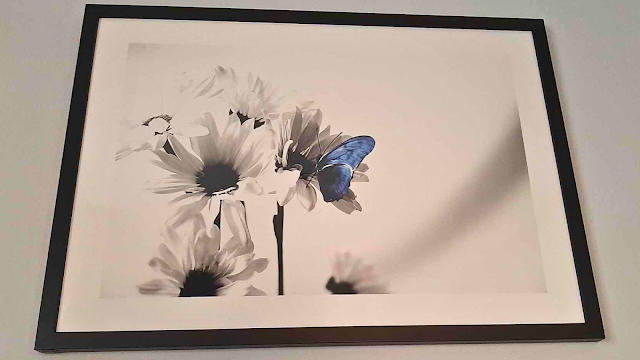 Qual é o Valor da Arte? Quando o Inútil se Torna Essencial