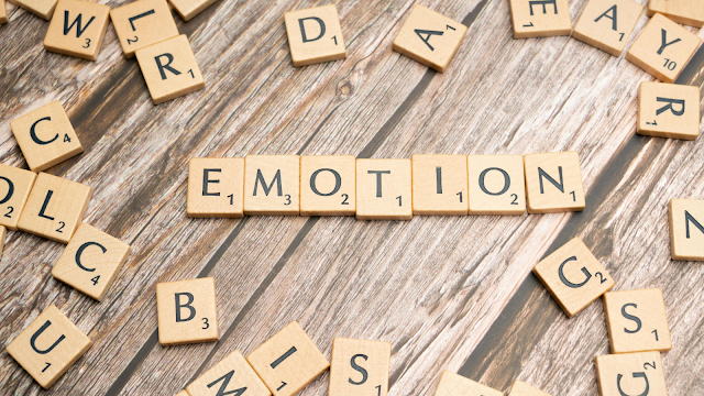Inteligência Emocional: o Segredo Para Viver com Equilíbrio