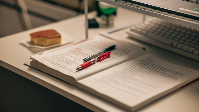 Como Estudar de Forma Autodidata e Não Desistir a Meio
