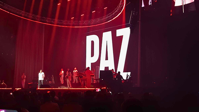 Pedro Abrunhosa: 30 anos de carreira em palco