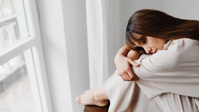 O Guia da Organização Emocional: O Segredo da Serenidade