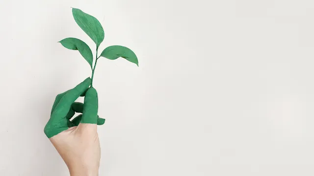 Ecofeminismo: o que é e como aplicar no dia a dia