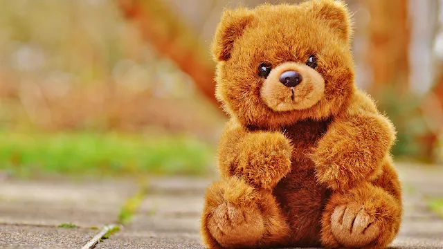 Dia do Ursinho de Peluche: um abraço cheio de memórias